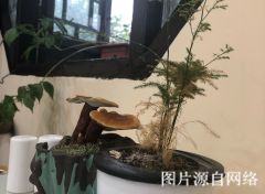 https://wew.4000500521.com//upimg/seot/t20190701173553213.jpg