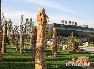 https://wew.4000500521.com//upimg/seot/t20190702164554230.jpg